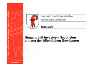 www.tba.bl.ch
VerkehrundGewässersollenfliessen-sicherundnachhaltig
Umgang mit invasiven Neophyten
entlang der öffentlichen Gewässern
 