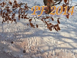 PF 2014 (MD+LD)
