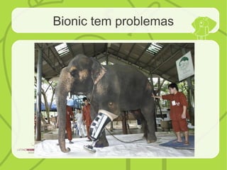 Bionic tem problemas
 