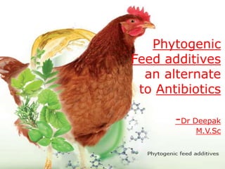 Phytogenic
Feed additives
an alternate
to Antibiotics
-Dr Deepak
M.V.Sc
 