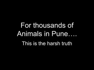 People for Animals Pune Presentation