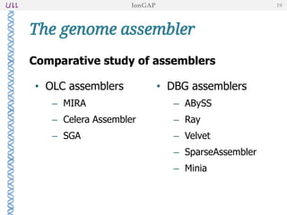 The genome assembler
Comparative study of assemblers
• OLC assemblers
– MIRA
– Celera Assembler
– SGA
IonGAP 19
• DBG assemblers
– ABySS
– Ray
– Velvet
– SparseAssembler
– Minia
 