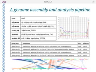aagttttggaaccattcgaaacagcacagctctaaaacttaccgattagaacatcatcta
aggtaatcgttttggaaccattcgaaacagcacagctctaaaactatcgctcaagcattc
gtatttgttttggagttttggaaccattcgaaacagcacagctctaaaacaacatttaac
tcataactatcatttagagtgttttggaaccattcgaaacagcacagctctaaaactaag
taacaagacagacttgaaactgttaagttttggaaccattcgaaacagcacagctctaaa
acttaccgattagaacatcatctaaggtaatcgttttggaaccattcgaaacagcacagc
tctaaaactatcgctcaagcattcgtatttgttttggagttttggaaccattcgaaacag
cacagctctaaaacatttccagtaagttcaaatttaacaaatgtgttttggaaccattcg
aaacagcacagctctaaaacagttttaacattaaatcacgtcttaaataagttttggaac
cattcgaaacagcacagctctaaaactaccgcaataagatcaccaatgttgtttgagttt
tggaaccattcgaaacagcacagctctaaaacgctattagtggaaacttttgaacgttat
gtgttttggaaccattcgaaacagcacagctctaaaacgaacaagatgtagatatgaaat
taacatttgttttggaaccattcgaaacagcacagctctaaaacctccaagtgctttaaa
gtcatttattttttgttttggaaccattcgaaacagcacagctctaaaacccatcatcaa
cctgaatgactccacatttcgttttggaaccattcgaaacagcacagctctaaaacgacc
cttatcaaacccaagcagaagtaactgttttggaaccattcgaaacagcacagctctaaa
acgatggtcgagcacttagaaaaccaataaaagttttggaaccattcgaaacagcacagc
tctaaaacgcttgtttcgctgtcgctcttgtttgacgggttttggaaccattcgaaacag
cacagctctaaaacaagcacaagaagcaactgttagaagacatagttttggaaccattcg
aaacagcacagctctaaaacacagctgaagagttagaaaaggctaatgttgttttggaac
cattcgaaacagcacagctctaaaacacatgacctgctgaacctgtccaccatatcgttt
tggaaccattcgaaacagcacagctctaaaactctgagatgagaacatatacttattctt
ttgttttggaaccattcgaaacagcacagctctaaaactctgagatgagaacatatactt
attcttttgttttggaaccattcgaaacagcacagctctaaaacctcgtagaaaattttc
ttttgagctttcgtaatcgcgccattcgtctcagcaggacttcagtttcgatgattcctt
gttattactgtgcttttactaatattataccatattttcgcctatcaagaaataatcctt
atcaataacatattgcggtaaatcatagagtcttctaggttctagaaagagtactgactt
ttgcattaaattgatgtattcacataattttataacttcatctttggtaagataagctcc
gctattaacaaaaaccaagagattctttttcgttaaataatggtaaacttgtataatttc
aaaacatttttcaaagatagtgtcgctctgtgtctcaattttgactcccagtgccttaat
gagttctaaaatcgtaatttcatcgtattctaaatcaagctcattctctagacactcaaa
gene cas2
inference ab initio prediction:Prodigal:2.60
inference similar to AA sequence:UniProtKB:G3ECR3
locus_tag Sagalactiae_00003
product CRISPR-associated endoribonuclease Cas2
protein_id gnl|Prokka|Sagalactiae_00003
Contig name Subject name Score % Identity
Sagalactiae_c8 Streptococcus agalactiae 2603V/R strain 2603V/R 16S ribosomal RNA, complete sequence 2846 100.00
Sagalactiae_c8 Streptococcus agalactiae ATCC 13813 strain JCM 5671 16S ribosomal RNA, complete sequence 2772 100.00
Sagalactiae_c10 Streptococcus agalactiae 2603V/R strain 2603V/R 16S ribosomal RNA, complete sequence 2846 100.00
Sagalactiae_c10 Streptococcus agalactiae ATCC 13813 strain JCM 5671 16S ribosomal RNA, complete sequence 2772 100.00
A genome assembly and analysis pipeline
IonGAP 28
 