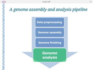 A genome assembly and analysis pipeline
IonGAP 36
Data preprocessing
Genome
analysis
Genome assembly
Genome finishing
 