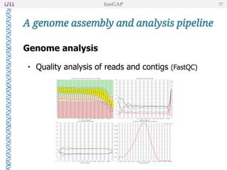 Genome analysis
• Quality analysis of reads and contigs (FastQC)
• Taxonomic classification (BLAST)
• Genome annotation (Prokka)
If reference sequence provided:
• Genome alignment and coverage analysis
(MUMmer, Circos, BLAST, Circoletto, Mauve, genoPlotR)
• Contig reordering (Mauve)
A genome assembly and analysis pipeline
IonGAP 37
 