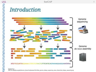 Genome
sequencing
Genome
de novo assembly
Adapted from:
http://en.wikipedia.org/wiki/Genomic_library#mediaviewer/File:Whole_genome_shotgun_sequencing_versus_Hierarchical_shotgun_sequencing.png
Introduction
IonGAP 3
 