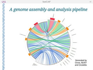 Generated by
Circos, BLAST
and Circoletto
A genome assembly and analysis pipeline
IonGAP 41
 
