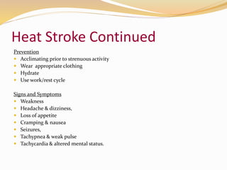 Army Heat Injuries | PPTX