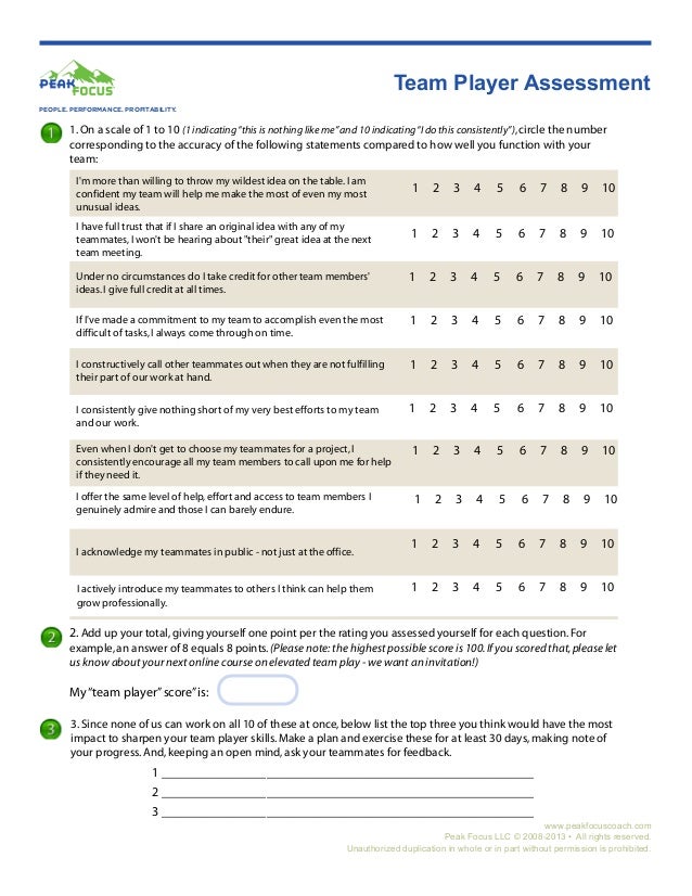 Team Player Assessment