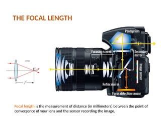 THE FOCAL LENGTH
Focal length is the measurement of distance (in millimeters) between the point of
convergence of your lens and the sensor recording the image.
 