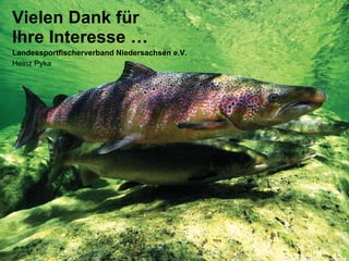 Vielen Dank für Ihre Interesse … Landessportfischerverband Niedersachsen e.V. Heinz Pyka 