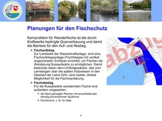 Planungen für den Fischschutz Kernproblem für Wanderfische ist die durch Kraftwerke bedingte Querverbauung und damit die Barriere für den Auf- und Abstieg. Fischaufstieg Zur Landseite der Wasserkraftanlage, wird eine Fischaufstiegsanlage (Fischtreppe) mit vertikal angeordneten Schlitzen errichtet, um Fischen die Wanderung flussaufwärts zu ermöglichen. Damit bestünde neben dem Umflutgewässer, das vom Leinebogen über die späten Holzwiesen in den Oberlauf der Leine führt, eine zweite, direkte Möglichkeit für die Fischwanderung. Fischabstieg Für die flussabwärts wandernden Fische sind außerdem vorgesehen: der flach geneigter Rechen mit anschließender, ständig durchströmter Spülrinne Fluchtrohre, z. B. für Aale 