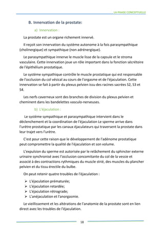 LA PHASE CONCEPTUELLE
18
B. Innervation de la prostate:
a) Innervation :
La prostate est un organe richement innervé.
Il reçoit son innervation du système autonome à la fois parasympathique
(cholinergique) et sympathique (non adrénergique).
Le parasympathique innerve le muscle lisse de la capsule et le stroma
vasculaire. Cette innervation joue un rôle important dans la fonction sécrétoire
de l'épithélium prostatique.
Le système sympathique contrôle le muscle prostatique qui est responsable
de l'occlusion du col vésical au cours de l'orgasme et de l'éjaculation. Cette
innervation se fait à partir du plexus pelvien issu des racines sacrées S2, S3 et
S4.
Les nerfs caverneux sont des branches de division du plexus pelvien et
cheminent dans les bandelettes vasculo-nerveuses.
b) L'éjaculation :
Le système sympathique et parasympathique intervient dans le
déclenchement et la coordination de l'éjaculation Le sperme arrive dans
l'urètre prostatique par les canaux éjaculateurs qui traversent la prostate dans
leur trajet vers l'urètre.
C'est pour cette raison que le développement de l'adénome prostatique
peut compromettre la qualité de l'éjaculation et son volume.
L'expulsion du sperme est autorisée par le relâchement du sphincter externe
urinaire synchronisé avec l'occlusion concomitante du col de la vessie et
associé à des contractions rythmiques du muscle strié, des muscles du plancher
pelvien et du tissu érectile du bulbe.
On peut retenir quatre troubles de l'éjaculation :
 L'éjaculation prématurée;
 L'éjaculation retardée;
 L'éjaculation rétrograde;
 L'anéjaculation et l'anorgasmie.
Le vieillissement et les altérations de l'anatomie de la prostate sont en lien
direct avec les troubles de l'éjaculation.
 