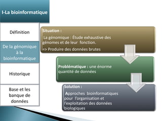 Situation : 
La génomique : Étude exhaustive des 
génomes et de leur fonction. 
=> Produire des données brutes 
Problématique : une énorme 
quantité de données 
Solution : 
Approches bioinformatiques 
pour l’organisation et 
l’exploitation des données 
biologiques 
I-La bioinformatique 
Définition 
De la génomique 
à la 
bioinformatique 
Historique 
Base et les 
banque de 
données 
 