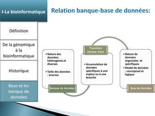 •Nature des 
données: 
hétérogènes et 
diverses 
• Taille des données 
: énorme 
Banque de données 
Transition 
banque-base 
• Accumulation de 
données 
spécifiques à une 
espèce ou à une 
branche 
•Nature de 
données 
organisées et 
spécifiques 
• Model de données 
: conceptuel et 
logique 
Base de données 
I-La bioinformatique 
Définition 
De la génomique 
à la 
bioinformatique 
Historique 
Base et les 
banque de 
données 
 