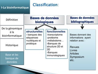 structurelles 
- banques des 
séquences 
nucléiques et 
protéique 
fonctionnelles 
-transcriptome 
-protéome 
-métabolome… 
-Banques de 
structure 2D et 
3D 
-Banques 
immunologiques 
Bases donnant des 
informations ayant 
relation avec : 
Revues 
Livres 
Articles 
Symposium 
etc. 
I-La bioinformatique 
Définition 
De la génomique 
à la 
bioinformatique 
Historique 
Base et les 
banque de 
données 
 