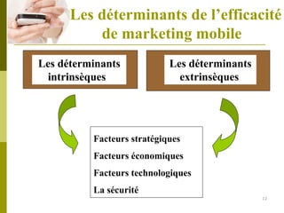 Pfe Marketing Mobile 2007