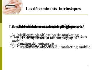 Pfe Marketing Mobile 2007