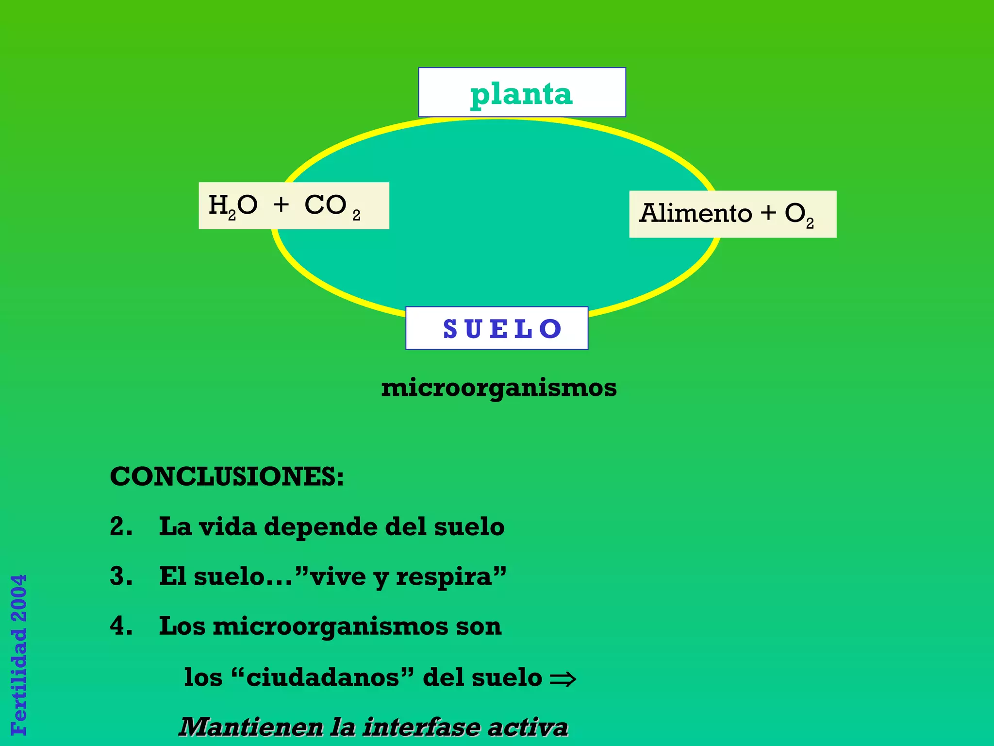 S U E L O planta Alimento + O 2 H 2 O  +  CO  2 microorganismos CONCLUSIONES: La vida depende del suelo El suelo...”vive y respira” Los microorganismos son los “ciudadanos” del suelo   Mantienen la interfase activa 