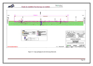 Page 49
Figure 13 : Coupe géologique du site du barrage Kharroub.
 