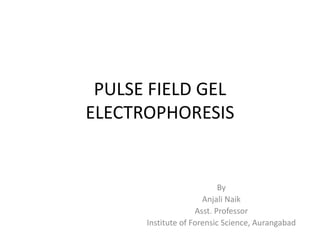 PULSE FIELD GEL
ELECTROPHORESIS
By
Anjali Naik
Asst. Professor
Institute of Forensic Science, Aurangabad
 