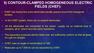 PULSE FIELD GEL ELECTROPHORESIS (PFGE) | PPTX