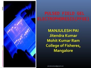 MANJULESH PAI
Jitendra Kumar
Mohit Kumar Ram
College of Fisheres,
Mangalore

jitenderanduat@gmail.com

 