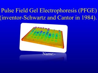 Pulse Field Gel Electrophoresis (PFGE)
(inventor-Schwartz and Cantor in 1984).
Name:-
 