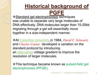 Historical background of
PGFE
December 17 pankajgaonkar12993@gmail.com 2
At Columbia University in 1984, David C. Schwartz
and Charles Cantor developed a variation on the
standard protocol by introducing
an alternating voltage gradient to improve the
resolution of larger molecules.
This technique became known as pulsed-field gel
electrophoresis (PFGE).
Standard gel electrophoresis techniques
was unable to separate very large molecules of
DNA effectively. DNA molecules larger than 15-20kb
migrating through a gel will essentially move
together in a size-independent manner.
 