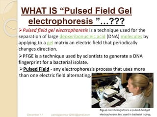 WHAT IS “Pulsed Field Gel
electrophoresis ”…???
December 17 pankajgaonkar12993@gmail.com 3
Pulsed field gel electrophoresis is a technique used for the
separation of large deoxyribonucleic acid (DNA) molecules by
applying to a gel matrix an electric field that periodically
changes direction.
Fig.-A microbiologist runs a pulsed-field gel
electrophoresis test used in bacterial typing.
PFGE is a technique used by scientists to generate a DNA
fingerprint for a bacterial isolate.
Pulsed Field - any electrophoresis process that uses more
than one electric field alternating.
 