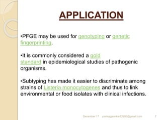 APPLICATION
December 17 pankajgaonkar12993@gmail.com 7
•PFGE may be used for genotyping or genetic
fingerprinting.
•It is commonly considered a gold
standard in epidemiological studies of pathogenic
organisms.
•Subtyping has made it easier to discriminate among
strains of Listeria monocytogenes and thus to link
environmental or food isolates with clinical infections.
 