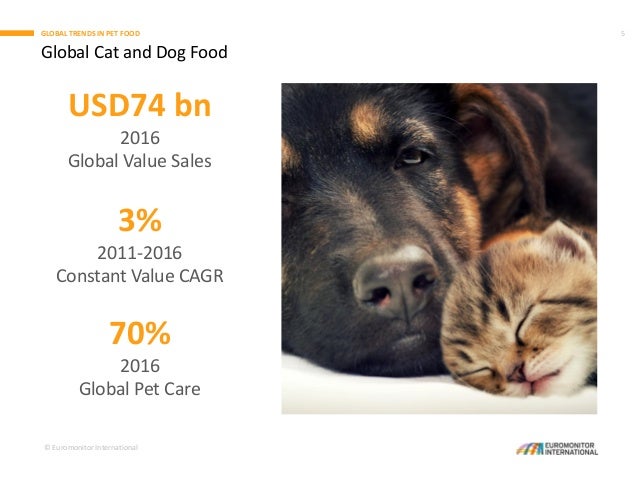 international pet care
