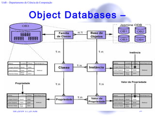 Object Databases – Conceitos do Jasmine 