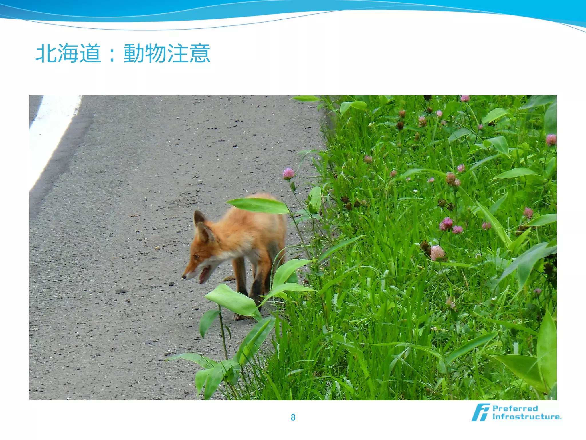 北北海道：動物注意

8	

 