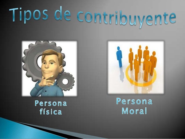 persona fisica