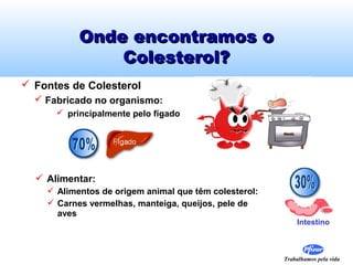 Trabalhamos pela vida
Onde encontramos oOnde encontramos o
Colesterol?Colesterol?
 Fontes de Colesterol
 Fabricado no organismo:
 principalmente pelo fígado
 Alimentar:
 Alimentos de origem animal que têm colesterol:
 Carnes vermelhas, manteiga, queijos, pele de
aves
Intestino
 