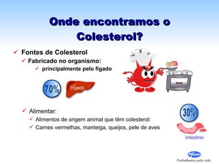 Onde encontramos o Colesterol? Fontes de Colesterol  Fabricado no organismo: principalmente pelo fígado Alimentar: Alimentos de origem animal que têm colesterol: Carnes vermelhas, manteiga, queijos, pele de aves Intestino 