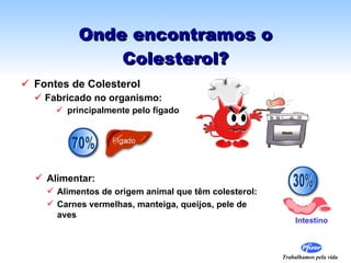 Onde encontramos o Colesterol? Fontes de Colesterol  Fabricado no organismo: principalmente pelo fígado Alimentar: Alimentos de origem animal que têm colesterol: Carnes vermelhas, manteiga, queijos, pele de aves Intestino 