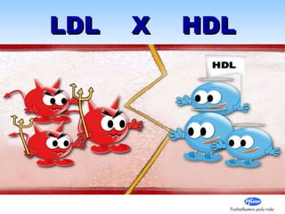 LDL  X  HDL 