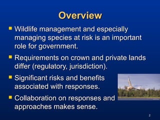 Sw Wilderness Management Risks Critical Wildlife Habitat MOU presentation | PPT
