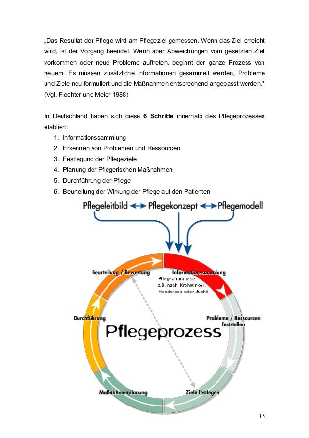 Pflegeprozessmodell Nach Fiechter Und Meier Pflegedokumentation
