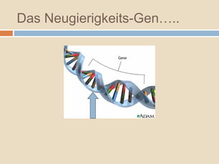 Das Neugierigkeits-Gen…..
 