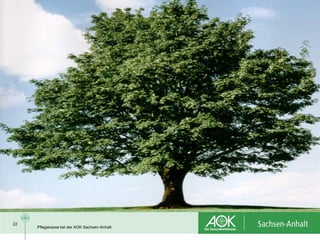 22
     Pflegekasse bei der AOK Sachsen-Anhalt
 