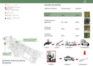 Pflex - Denise Morado