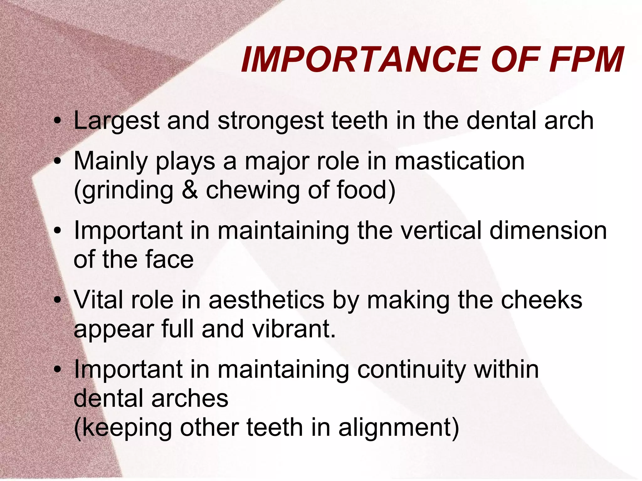 IMPORTANCE OF FPM
● Largest and strongest teeth in the dental arch
● Mainly plays a major role in mastication
(grinding & chewing of food)
● Important in maintaining the vertical dimension
of the face
● Vital role in aesthetics by making the cheeks
appear full and vibrant.
● Important in maintaining continuity within
dental arches
(keeping other teeth in alignment)
 