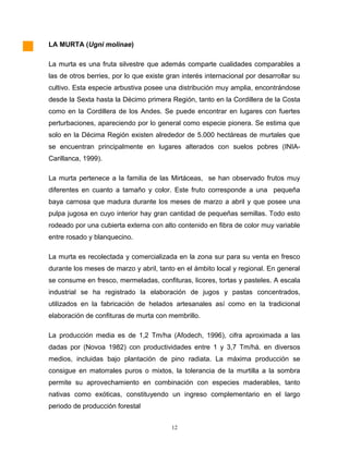 LA MURTA (Ugni molinae)
La murta es una fruta silvestre que además comparte cualidades comparables a
las de otros berries, por lo que existe gran interés internacional por desarrollar su
cultivo. Esta especie arbustiva posee una distribución muy amplia, encontrándose
desde la Sexta hasta la Décimo primera Región, tanto en la Cordillera de la Costa
como en la Cordillera de los Andes. Se puede encontrar en lugares con fuertes
perturbaciones, apareciendo por lo general como especie pionera. Se estima que
solo en la Décima Región existen alrededor de 5.000 hectáreas de murtales que
se encuentran principalmente en lugares alterados con suelos pobres (INIA-
Carillanca, 1999).
La murta pertenece a la familia de las Mirtáceas, se han observado frutos muy
diferentes en cuanto a tamaño y color. Este fruto corresponde a una pequeña
baya carnosa que madura durante los meses de marzo a abril y que posee una
pulpa jugosa en cuyo interior hay gran cantidad de pequeñas semillas. Todo esto
rodeado por una cubierta externa con alto contenido en fibra de color muy variable
entre rosado y blanquecino.
La murta es recolectada y comercializada en la zona sur para su venta en fresco
durante los meses de marzo y abril, tanto en el ámbito local y regional. En general
se consume en fresco, mermeladas, confituras, licores, tortas y pasteles. A escala
industrial se ha registrado la elaboración de jugos y pastas concentrados,
utilizados en la fabricación de helados artesanales así como en la tradicional
elaboración de confituras de murta con membrillo.
La producción media es de 1,2 Tm/ha (Afodech, 1996), cifra aproximada a las
dadas por (Novoa 1982) con productividades entre 1 y 3,7 Tm/há. en diversos
medios, incluidas bajo plantación de pino radiata. La máxima producción se
consigue en matorrales puros o mixtos, la tolerancia de la murtilla a la sombra
permite su aprovechamiento en combinación con especies maderables, tanto
nativas como exóticas, constituyendo un ingreso complementario en el largo
periodo de producción forestal
12
 