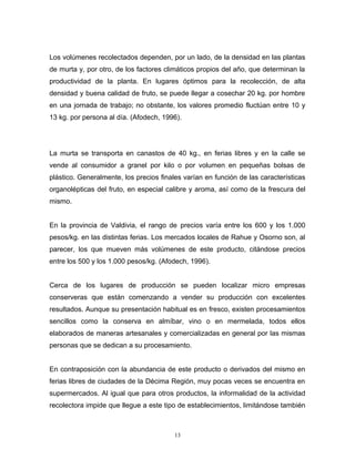 Los volúmenes recolectados dependen, por un lado, de la densidad en las plantas
de murta y, por otro, de los factores climáticos propios del año, que determinan la
productividad de la planta. En lugares óptimos para la recolección, de alta
densidad y buena calidad de fruto, se puede llegar a cosechar 20 kg. por hombre
en una jornada de trabajo; no obstante, los valores promedio fluctúan entre 10 y
13 kg. por persona al día. (Afodech, 1996).
La murta se transporta en canastos de 40 kg., en ferias libres y en la calle se
vende al consumidor a granel por kilo o por volumen en pequeñas bolsas de
plástico. Generalmente, los precios finales varían en función de las características
organolépticas del fruto, en especial calibre y aroma, así como de la frescura del
mismo.
En la provincia de Valdivia, el rango de precios varía entre los 600 y los 1.000
pesos/kg. en las distintas ferias. Los mercados locales de Rahue y Osorno son, al
parecer, los que mueven más volúmenes de este producto, citándose precios
entre los 500 y los 1.000 pesos/kg. (Afodech, 1996).
Cerca de los lugares de producción se pueden localizar micro empresas
conserveras que están comenzando a vender su producción con excelentes
resultados. Aunque su presentación habitual es en fresco, existen procesamientos
sencillos como la conserva en almíbar, vino o en mermelada, todos ellos
elaborados de maneras artesanales y comercializadas en general por las mismas
personas que se dedican a su procesamiento.
En contraposición con la abundancia de este producto o derivados del mismo en
ferias libres de ciudades de la Décima Región, muy pocas veces se encuentra en
supermercados. Al igual que para otros productos, la informalidad de la actividad
recolectora impide que llegue a este tipo de establecimientos, limitándose también
13
 