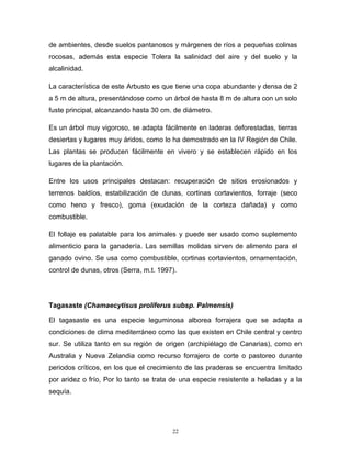 de ambientes, desde suelos pantanosos y márgenes de ríos a pequeñas colinas
rocosas, además esta especie Tolera la salinidad del aire y del suelo y la
alcalinidad.
La característica de este Arbusto es que tiene una copa abundante y densa de 2
a 5 m de altura, presentándose como un árbol de hasta 8 m de altura con un solo
fuste principal, alcanzando hasta 30 cm. de diámetro.
Es un árbol muy vigoroso, se adapta fácilmente en laderas deforestadas, tierras
desiertas y lugares muy áridos, como lo ha demostrado en la IV Región de Chile.
Las plantas se producen fácilmente en vivero y se establecen rápido en los
lugares de la plantación.
Entre los usos principales destacan: recuperación de sitios erosionados y
terrenos baldíos, estabilización de dunas, cortinas cortavientos, forraje (seco
como heno y fresco), goma (exudación de la corteza dañada) y como
combustible.
El follaje es palatable para los animales y puede ser usado como suplemento
alimenticio para la ganadería. Las semillas molidas sirven de alimento para el
ganado ovino. Se usa como combustible, cortinas cortavientos, ornamentación,
control de dunas, otros (Serra, m.t. 1997).
Tagasaste (Chamaecytisus proliferus subsp. Palmensis)
El tagasaste es una especie leguminosa alborea forrajera que se adapta a
condiciones de clima mediterráneo como las que existen en Chile central y centro
sur. Se utiliza tanto en su región de origen (archipiélago de Canarias), como en
Australia y Nueva Zelandia como recurso forrajero de corte o pastoreo durante
periodos críticos, en los que el crecimiento de las praderas se encuentra limitado
por aridez o frío, Por lo tanto se trata de una especie resistente a heladas y a la
sequía.
22
 
