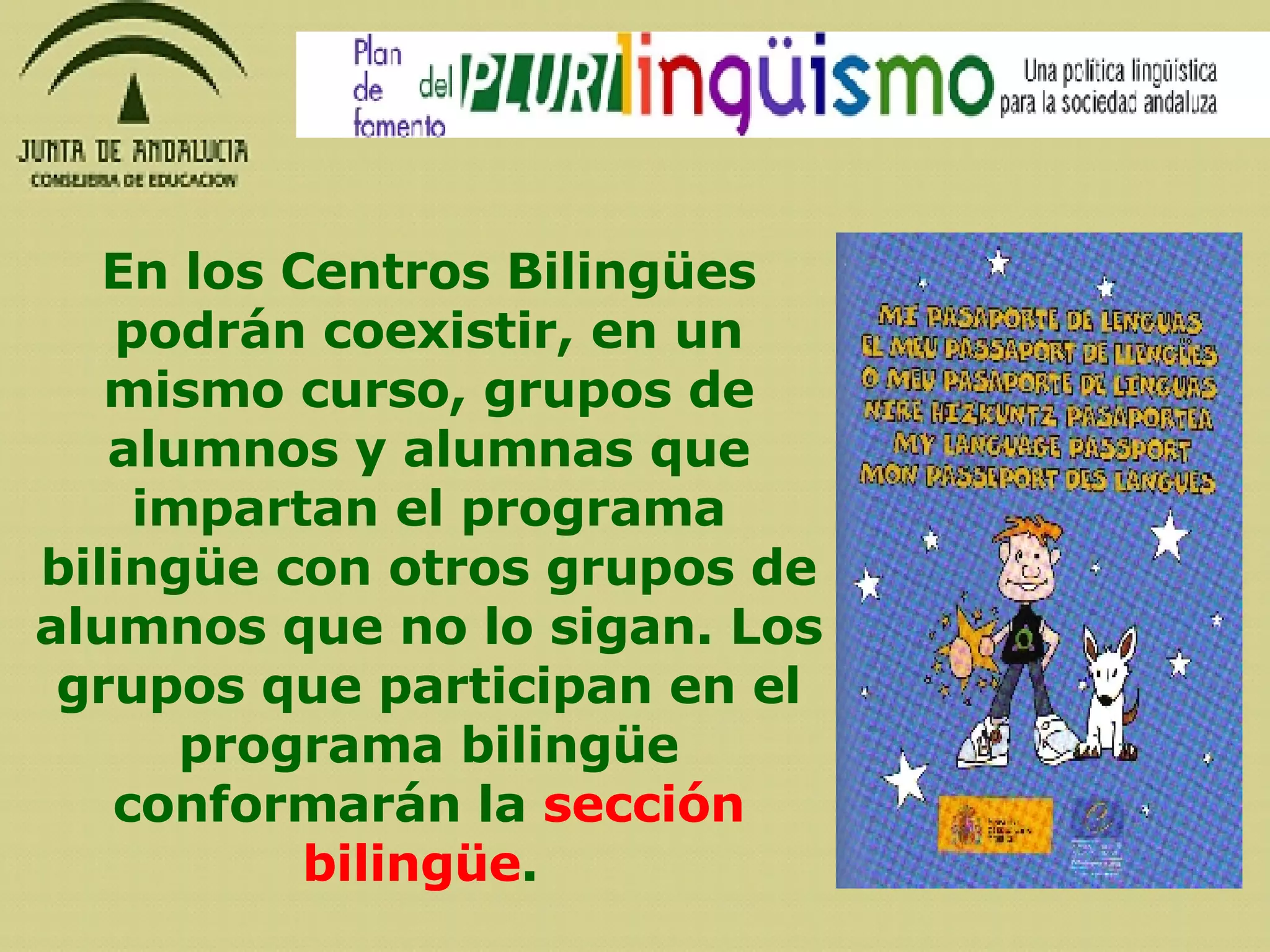 En los Centros Bilingües podrán coexistir, en un mismo curso, grupos de alumnos y alumnas que impartan el programa bilingüe con otros grupos de alumnos que no lo sigan. Los grupos que participan en el programa bilingüe conformarán la  sección bilingüe .   