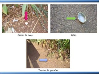 Cascas de ovos Latas
Tampas de garrafas
 